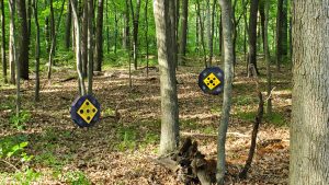 365 Archery Target System Outdoors