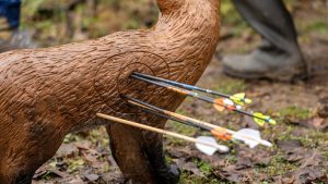 Fox Broadhead Archery Target